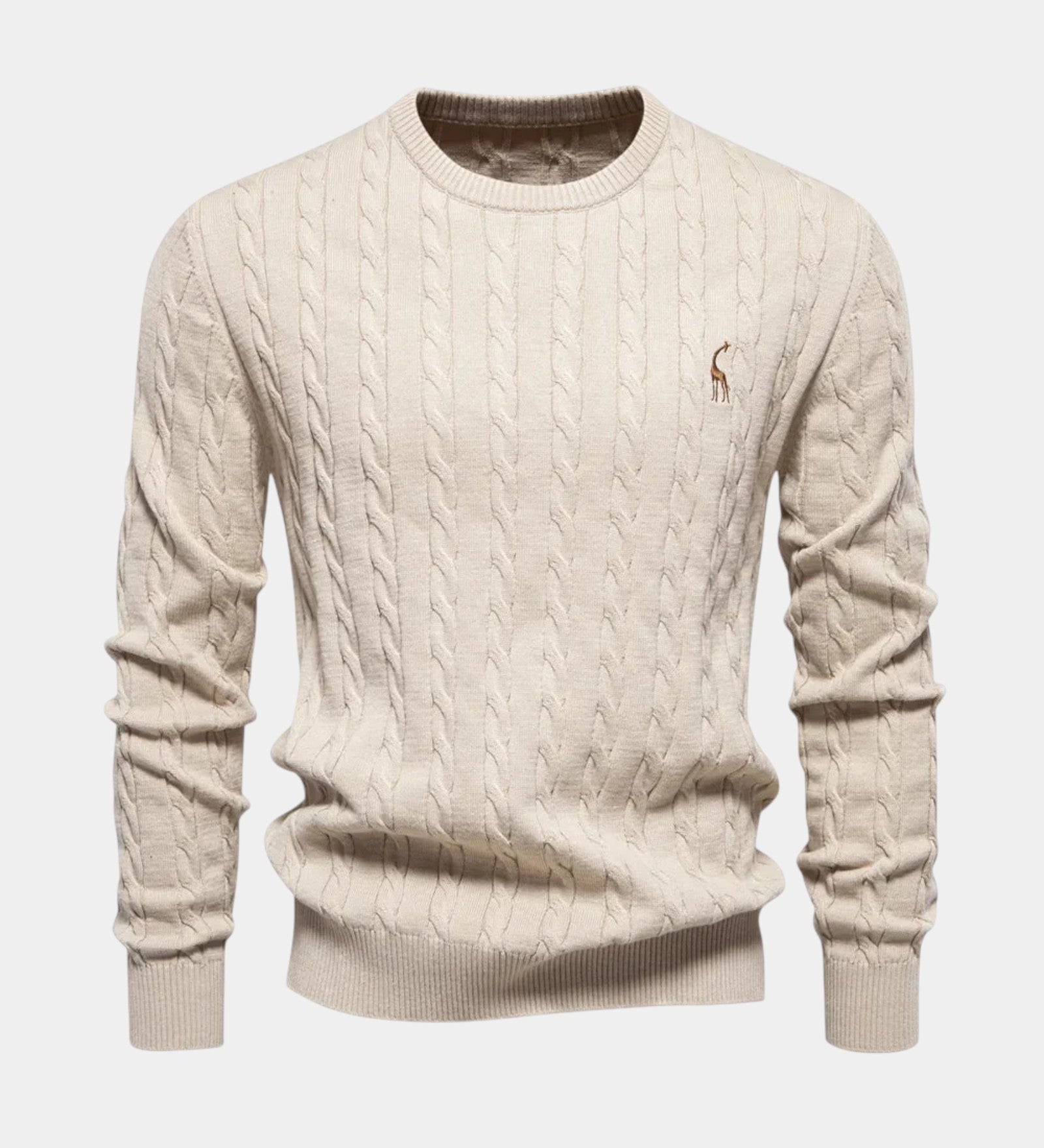 Rogier | Pull homme tendance