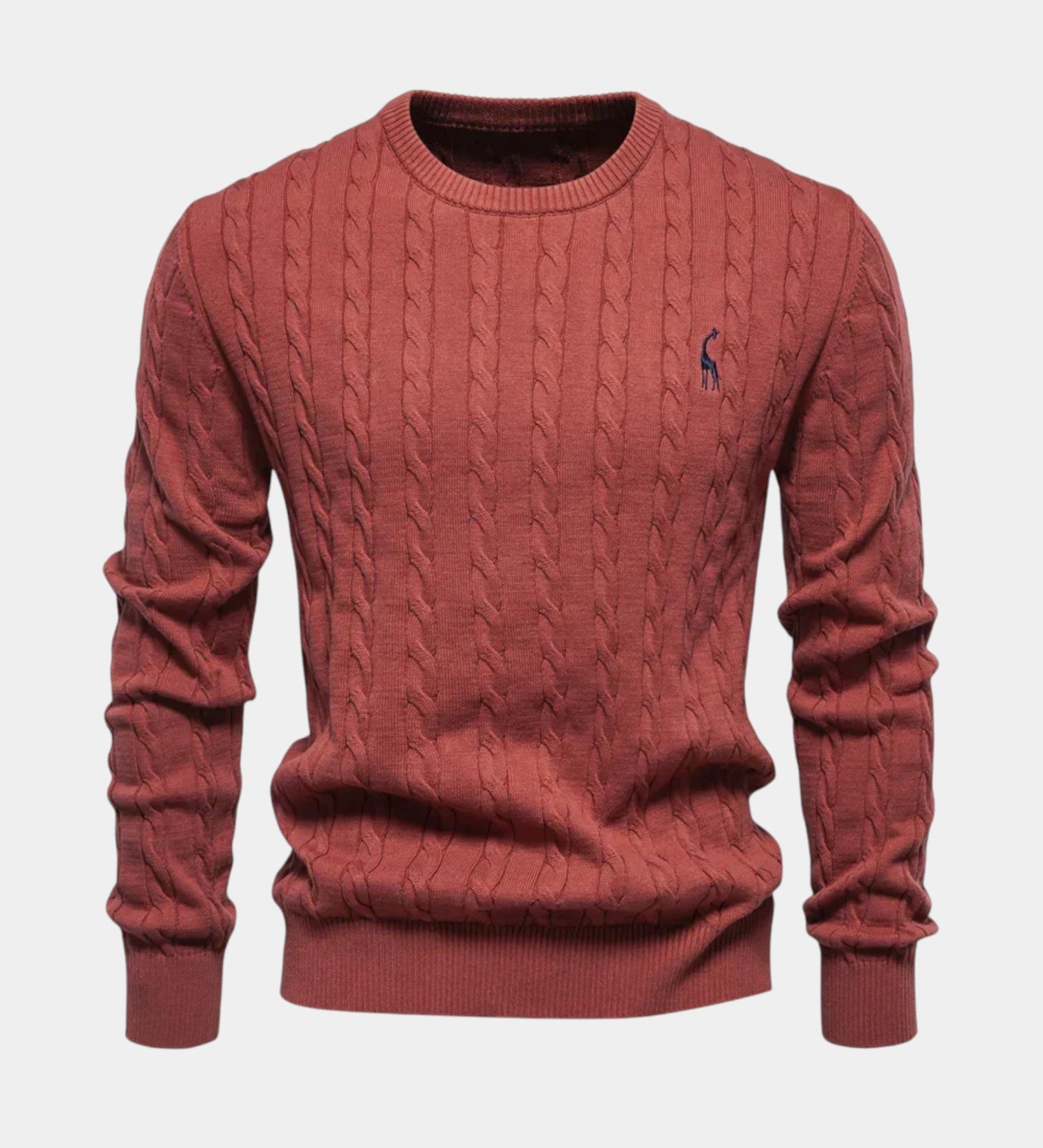 Rogier | Pull homme tendance