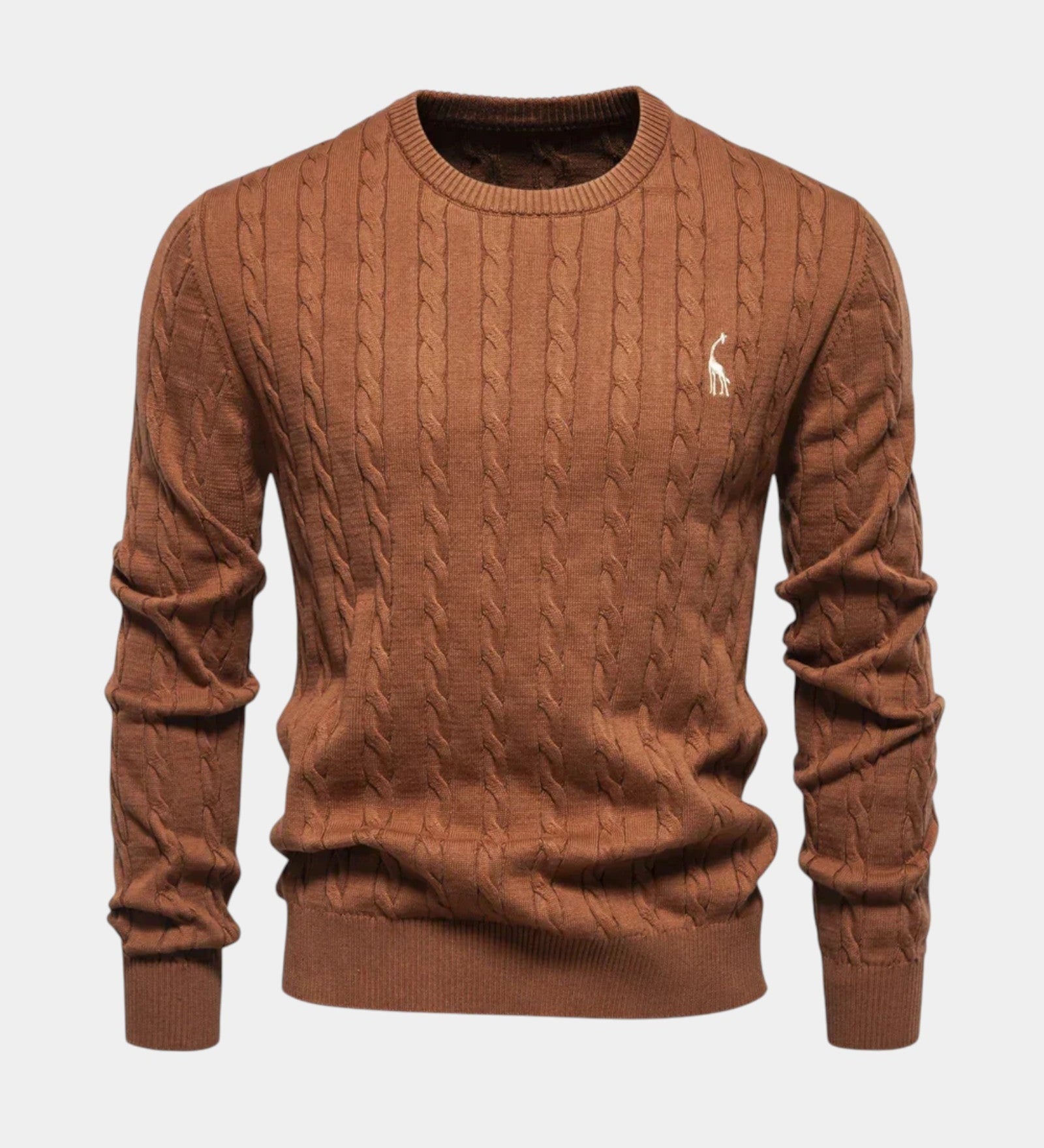 Rogier | Pull homme tendance