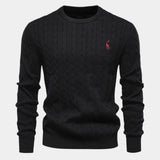 Rogier | Pull homme tendance
