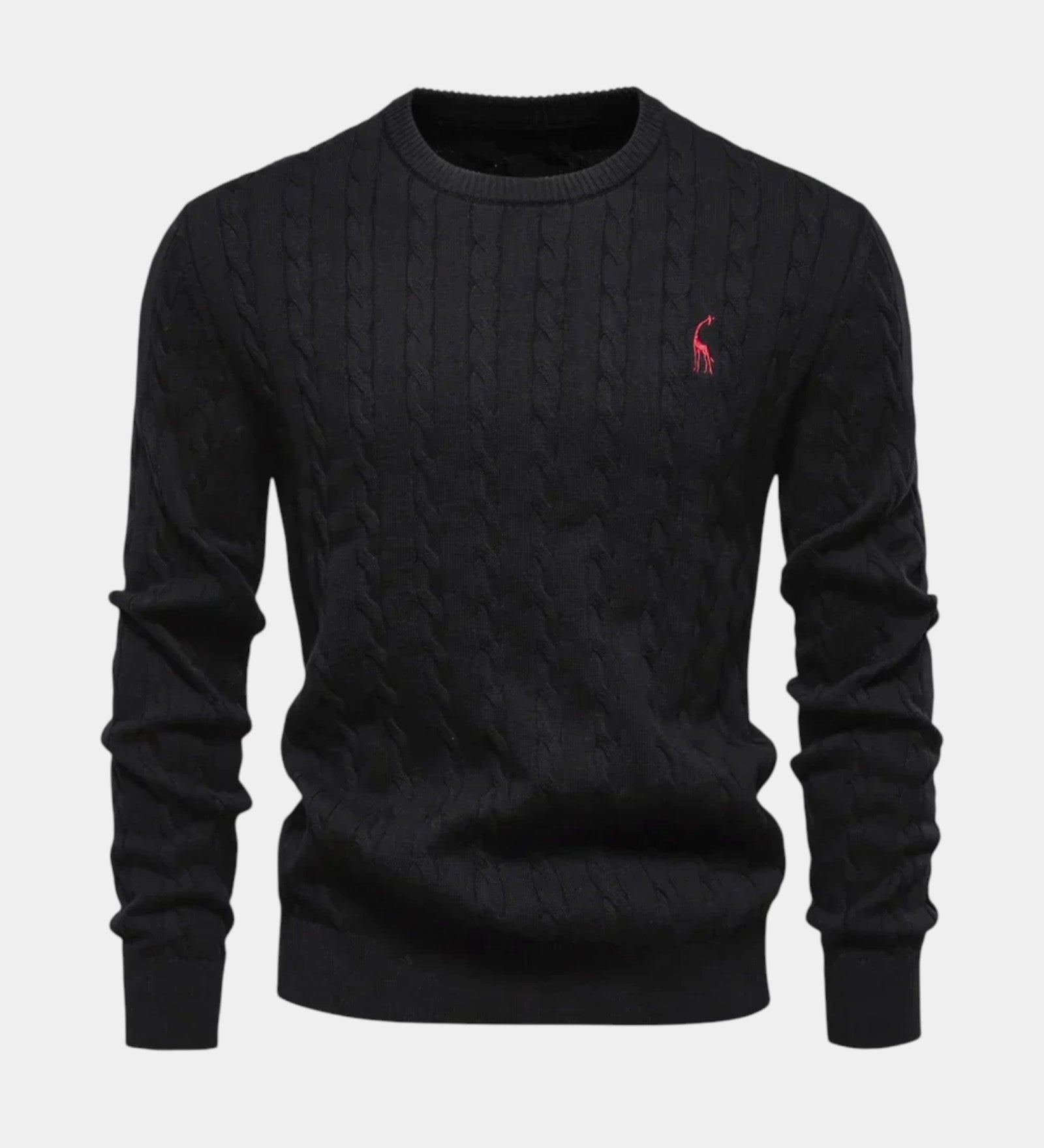 Rogier | Pull homme tendance