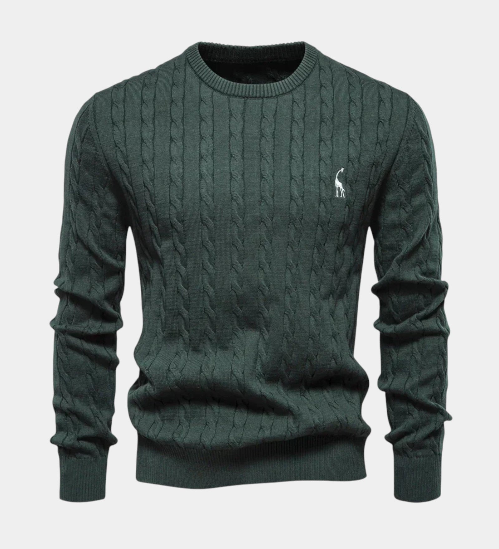 Rogier | Pull homme tendance