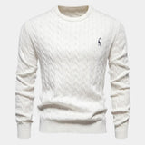 Rogier | Pull homme tendance